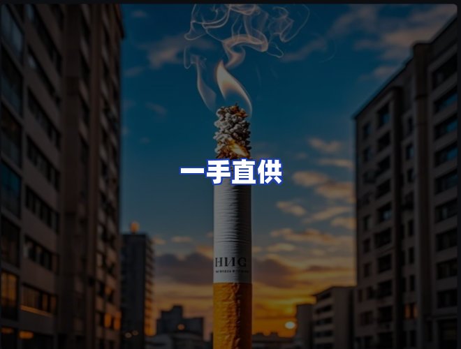 专业团队